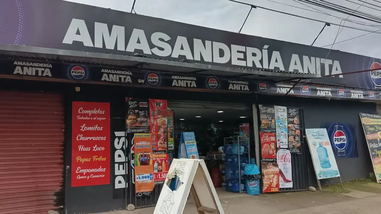 Portada de Amasandería Anita