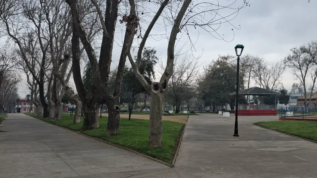 Plaza Abate Molina